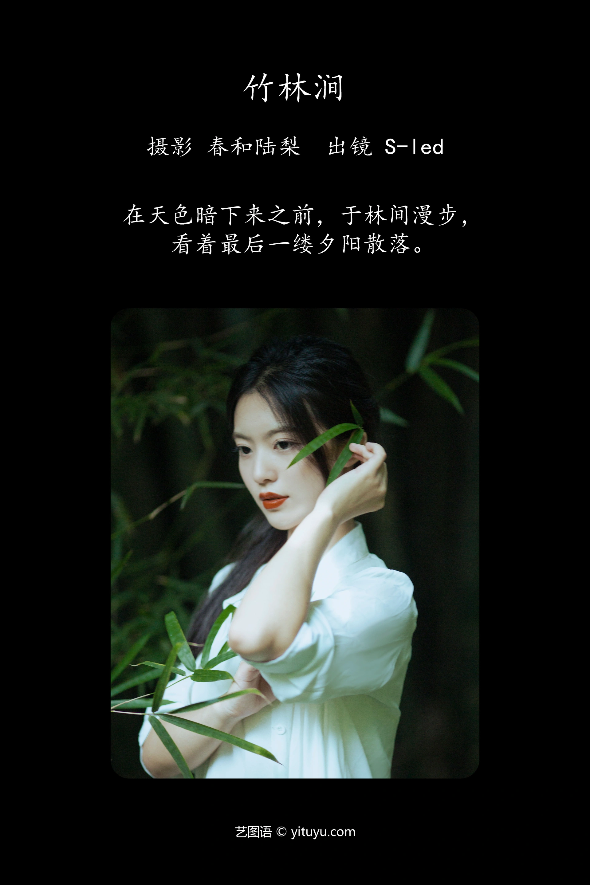 [YITUYU艺图语]2023.09.30 竹林涧 S-led 1